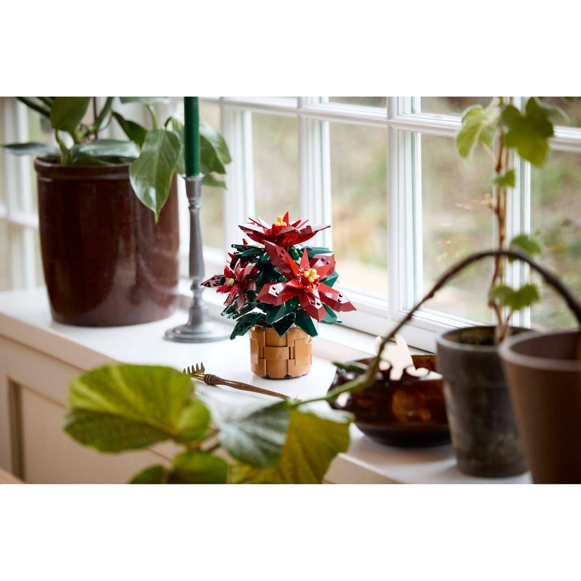 Poinsettia | Icônes | 10370