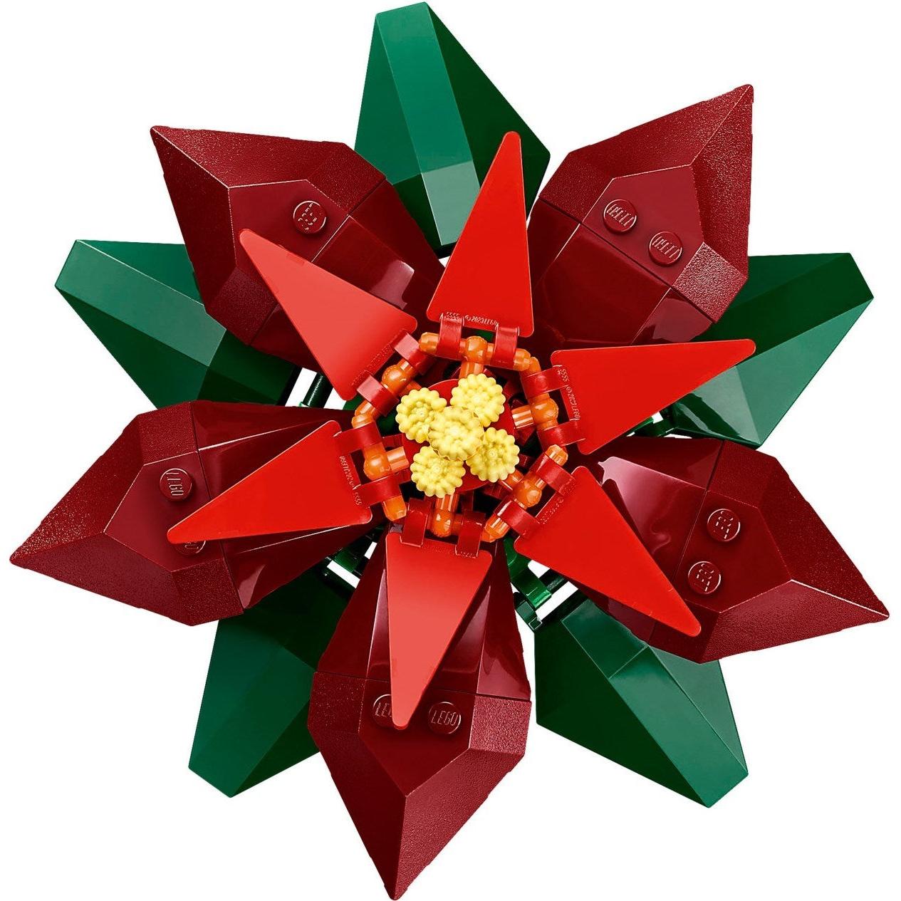 Poinsettia | Icônes | 10370
