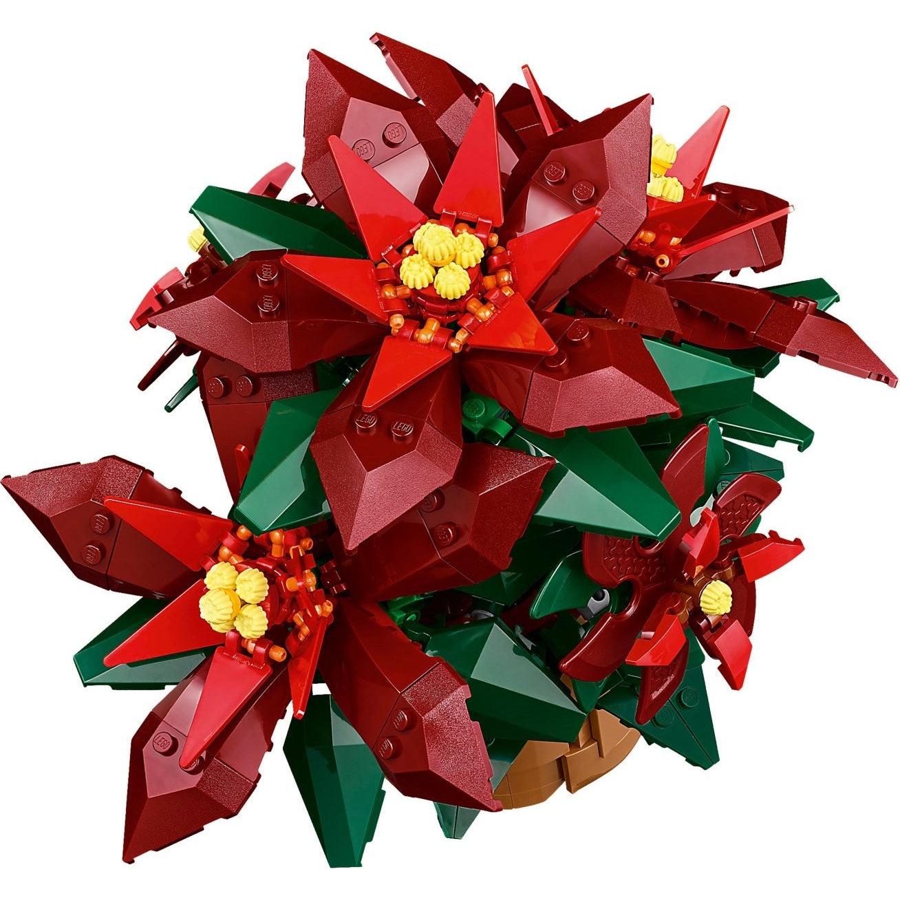 Poinsettia | Icons | 10370