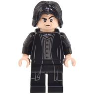 Professor Severus Snape - Dark Silver Vest | hp493