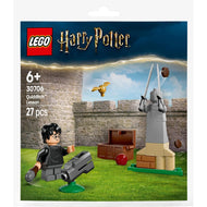 Quidditch Lesson | Harry Potter | 30706