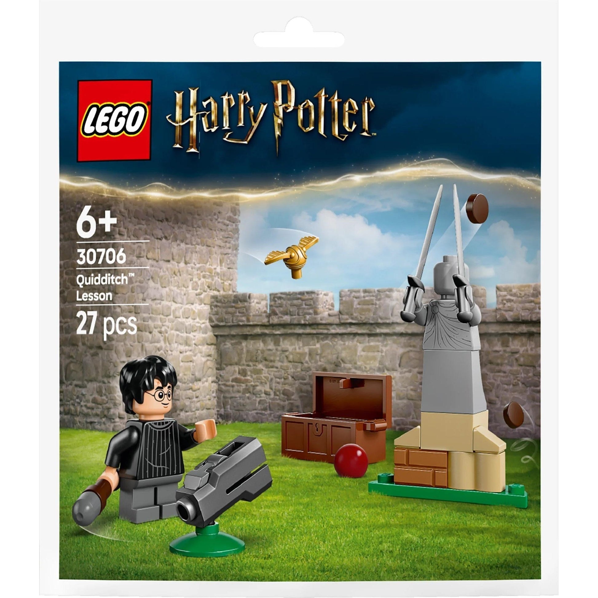 Leçon de Quidditch | Harry Potter | 30706