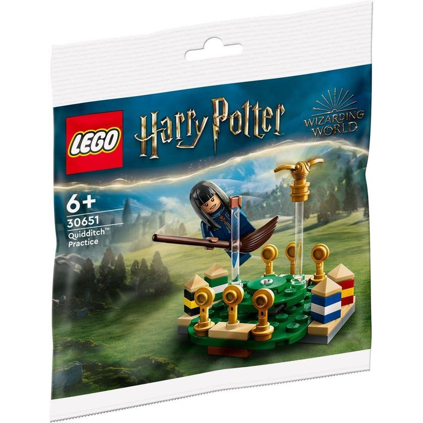 Quidditch Practice | Harry Potter | 30651