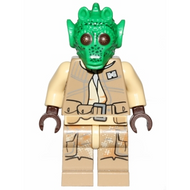 Combattant de l'Alliance Rodienne | sw0687