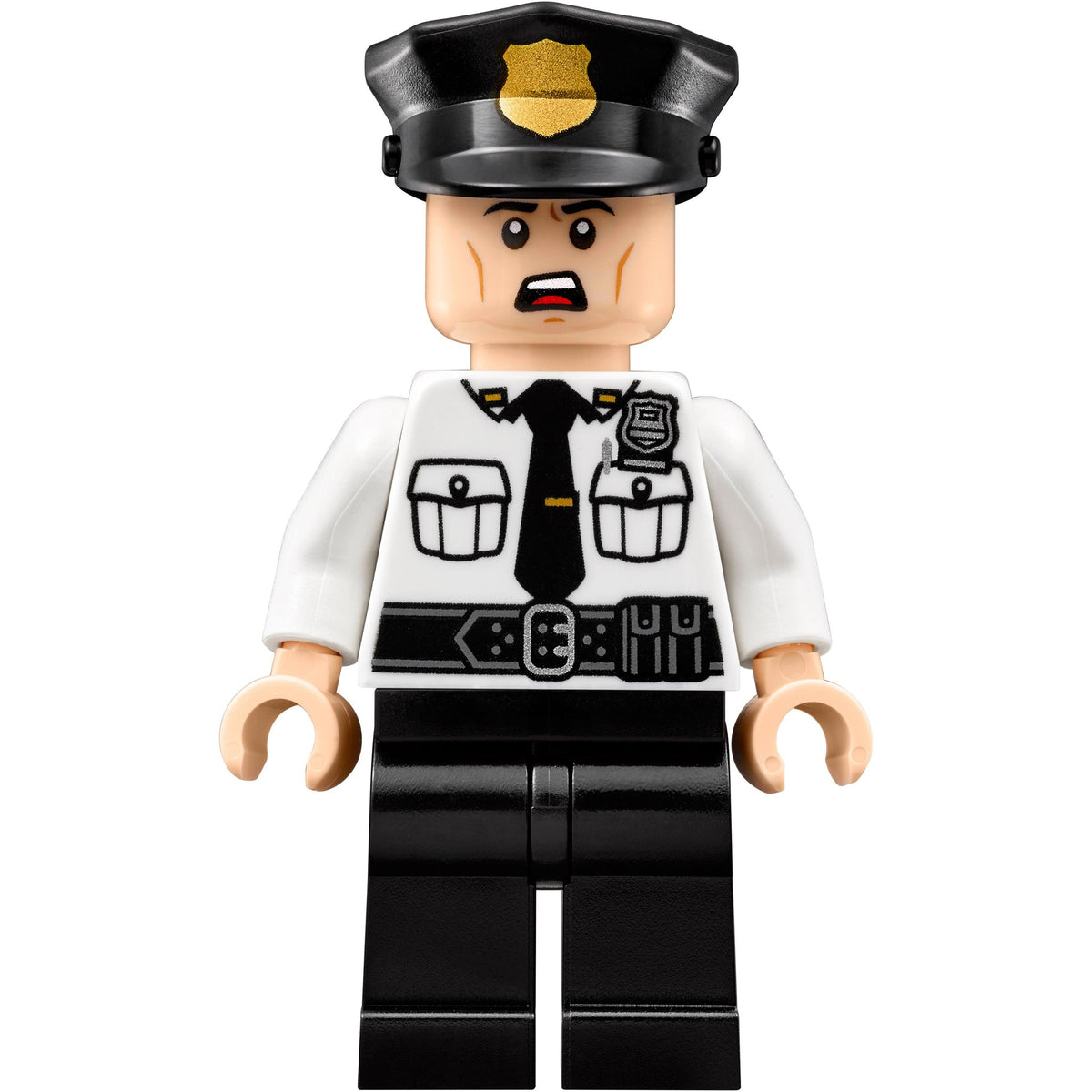 Scarecrow Special Delivery | The LEGO Batman Movie | 70910