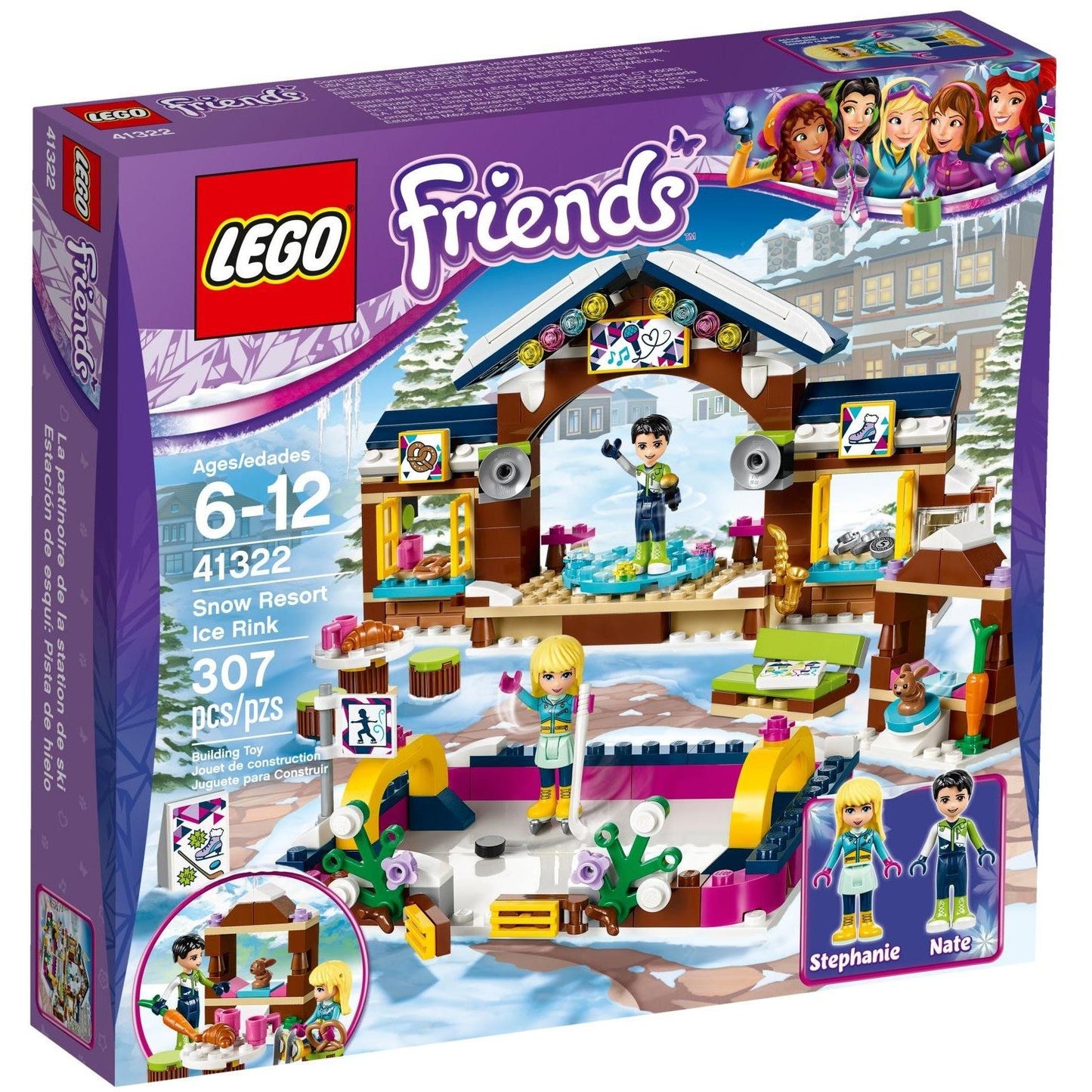 Snow Resort Ice Rink | Friends | 41322