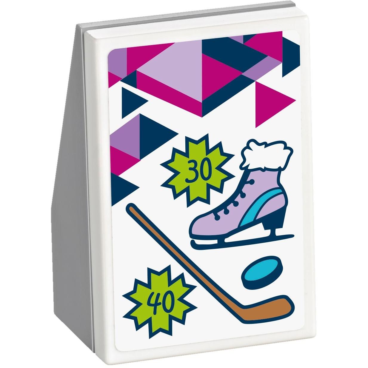 Snow Resort Ice Rink | Friends | 41322