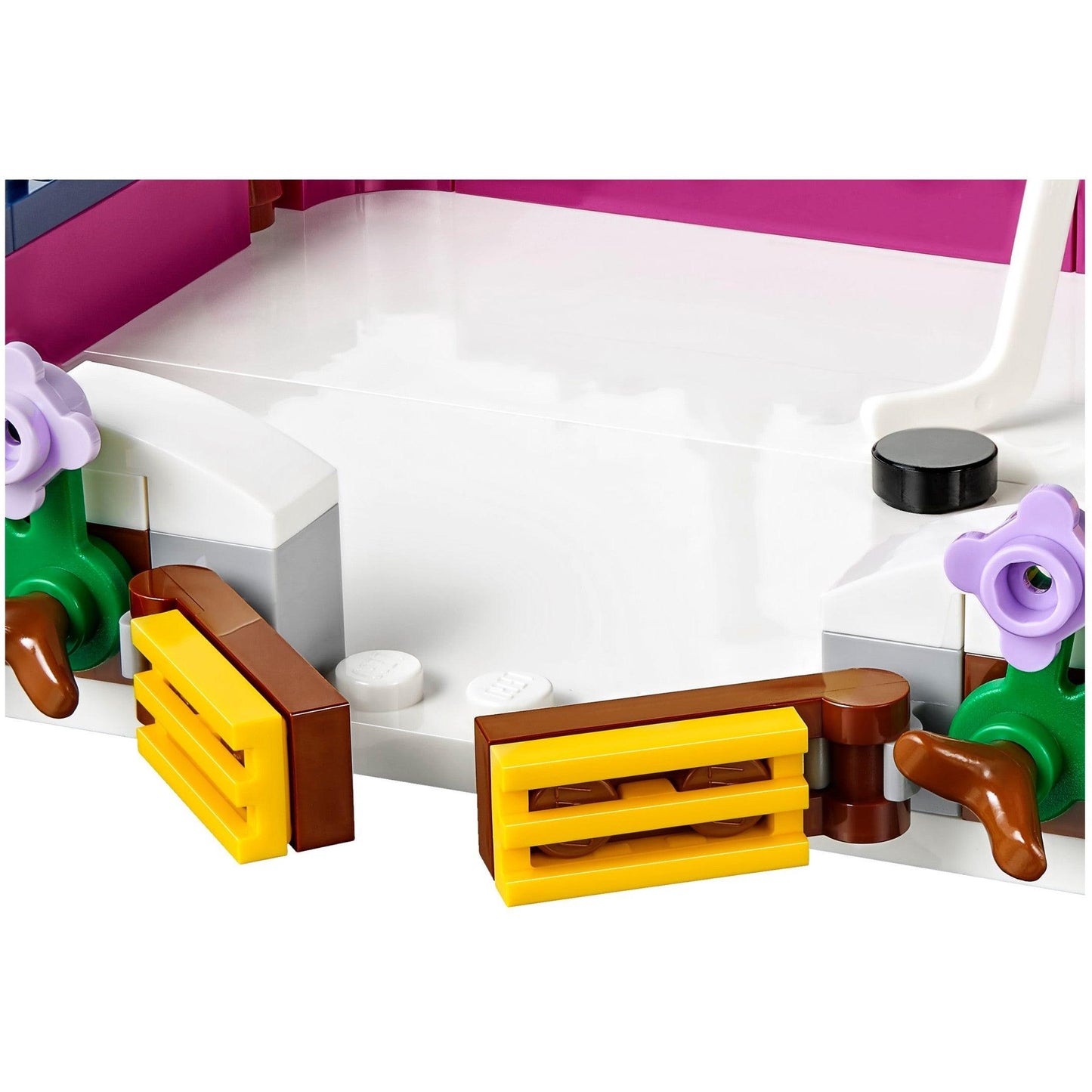 Snow Resort Ice Rink | Friends | 41322