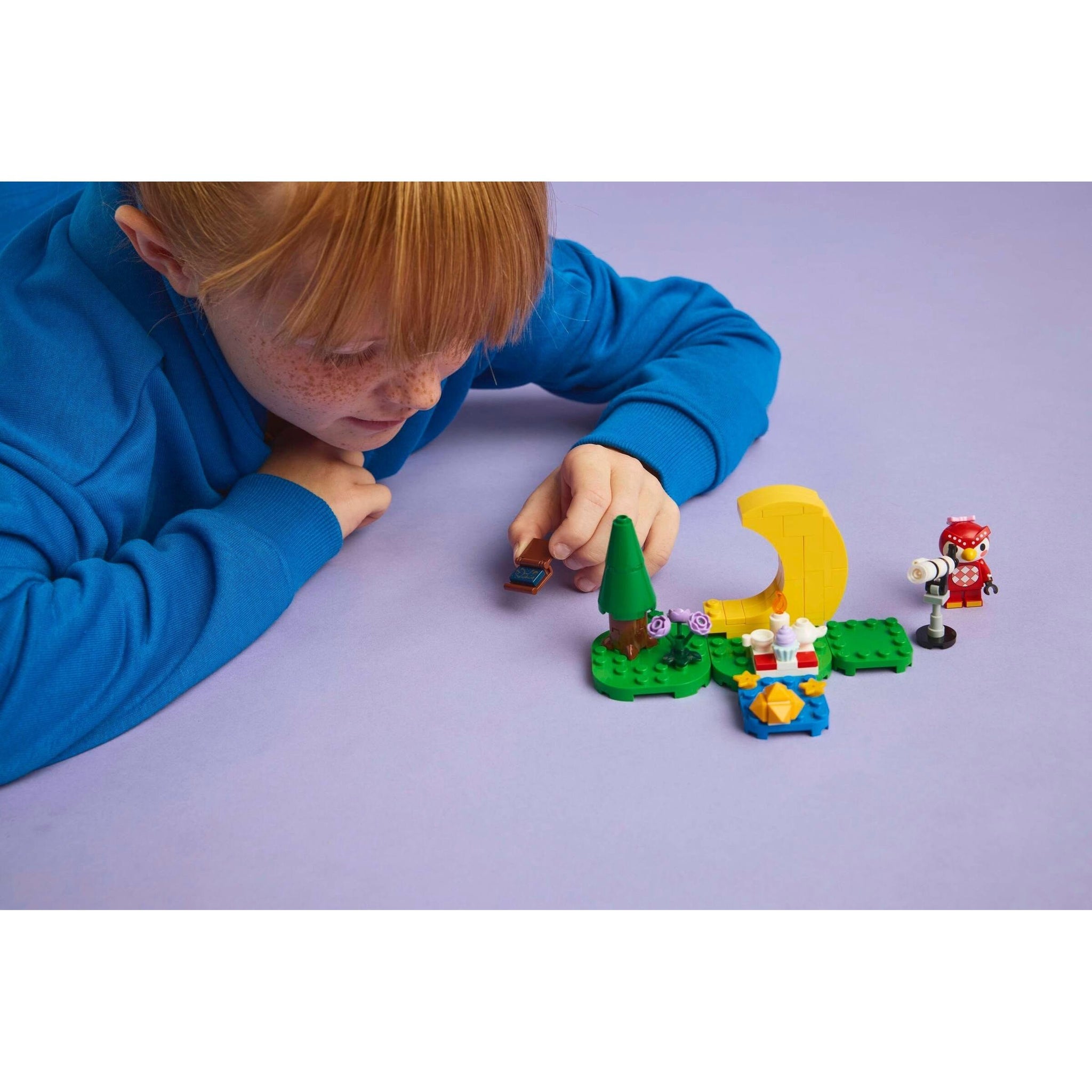 Stargazing with Celeste | Animal Crossing | 77053