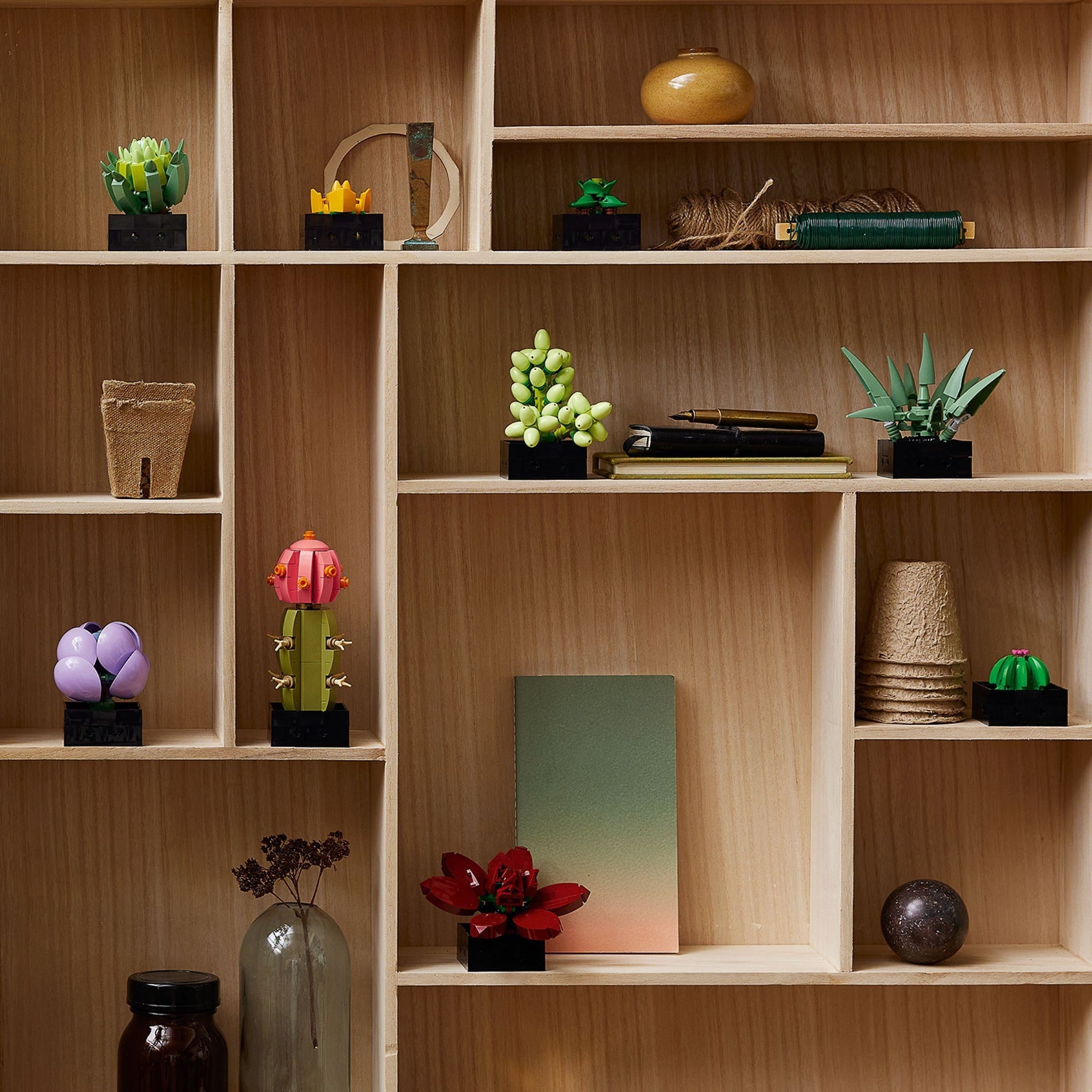 Succulents | Icons | 10309