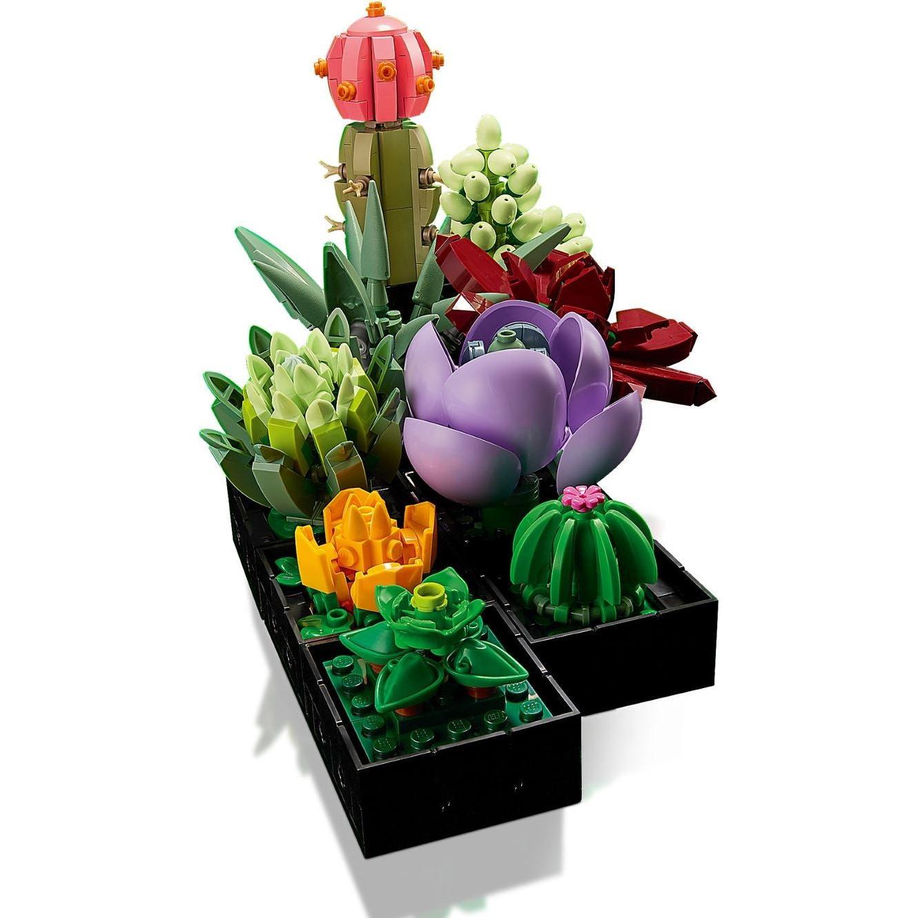 Succulents | Icons | 10309