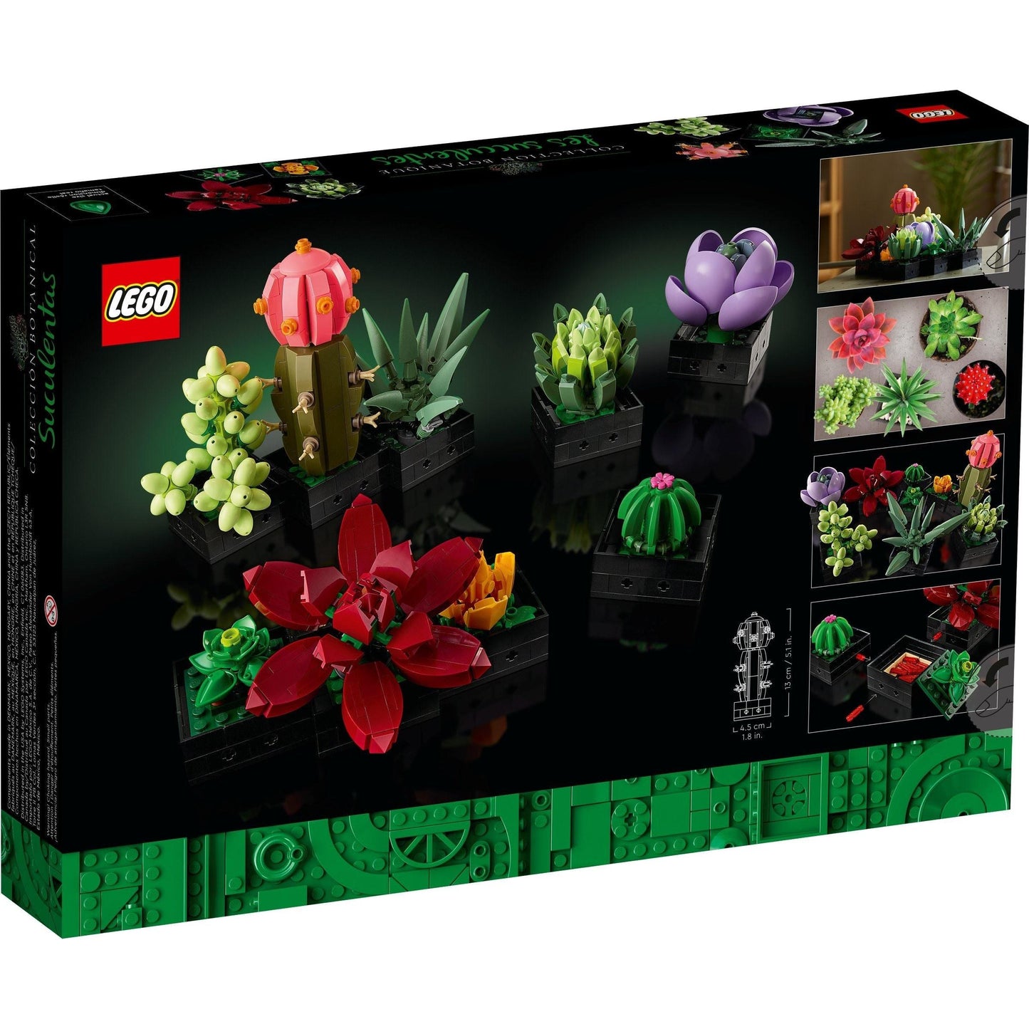 Succulents | Icons | 10309