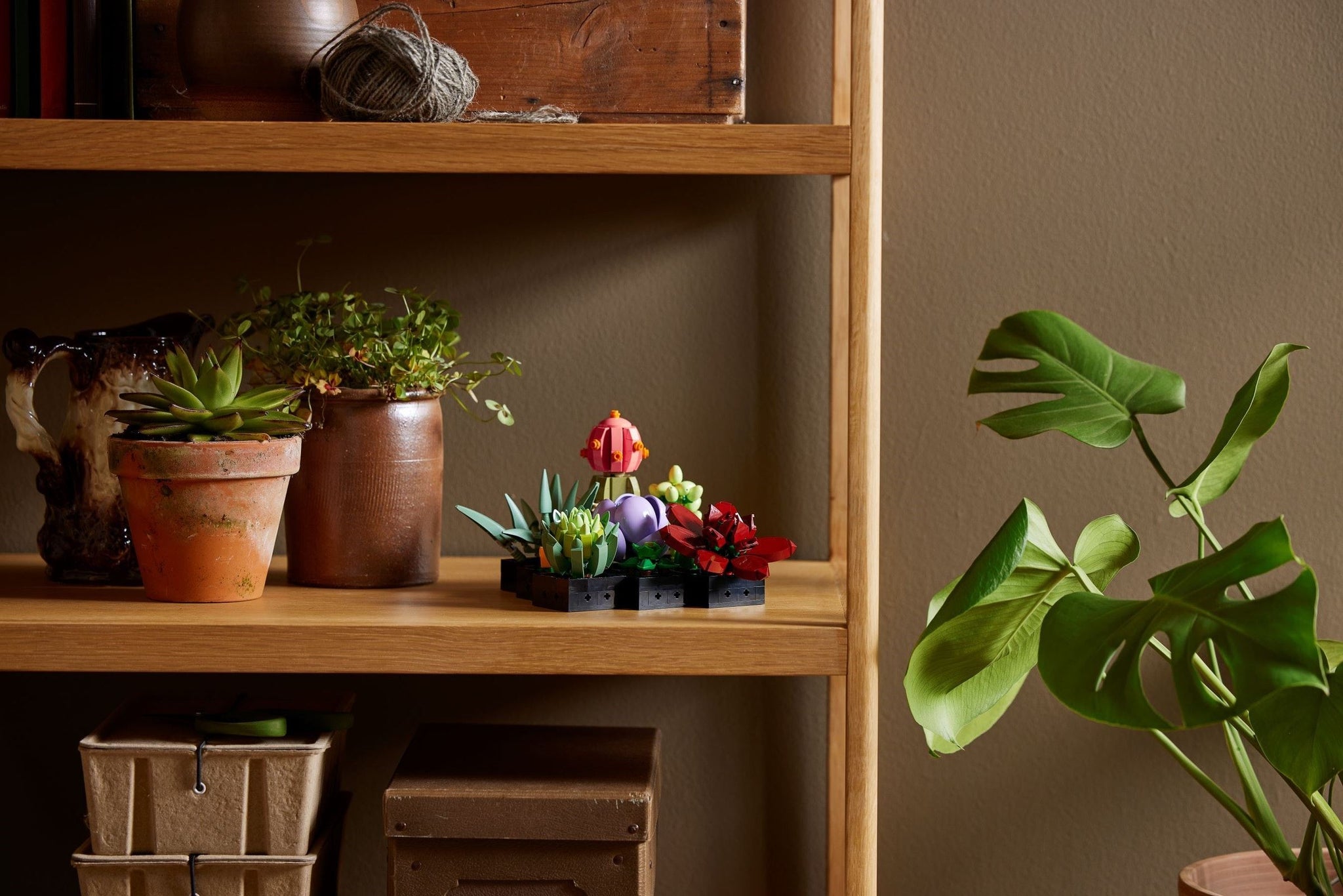 Succulents | Icons | 10309