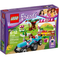 Sunshine Harvest | Friends | 41026