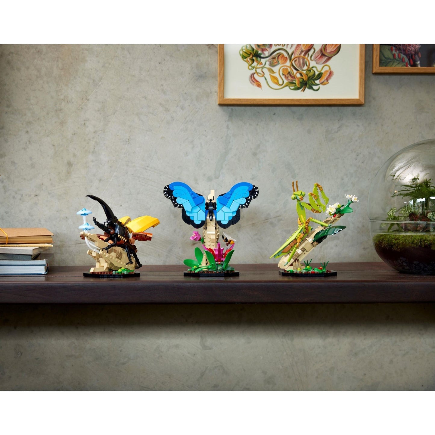 The Insect Collection | Ideas | 21342
