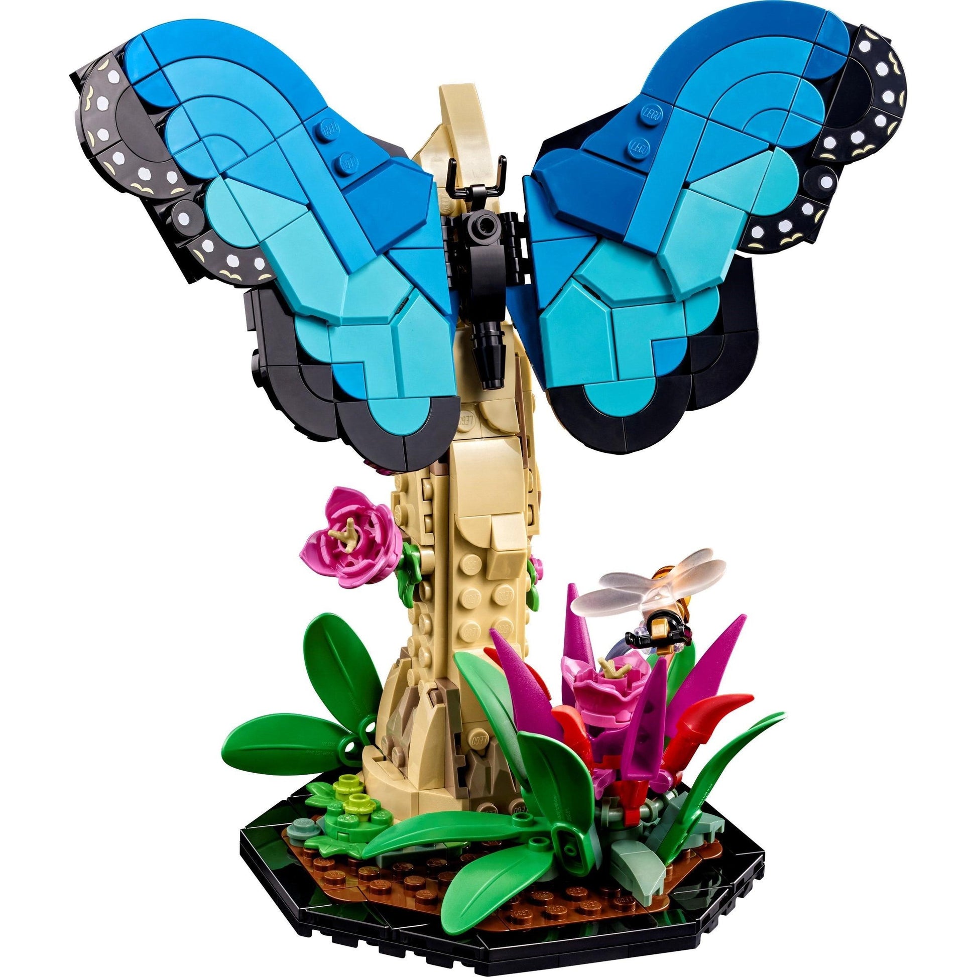 La collection Insectes | Idées | 21342