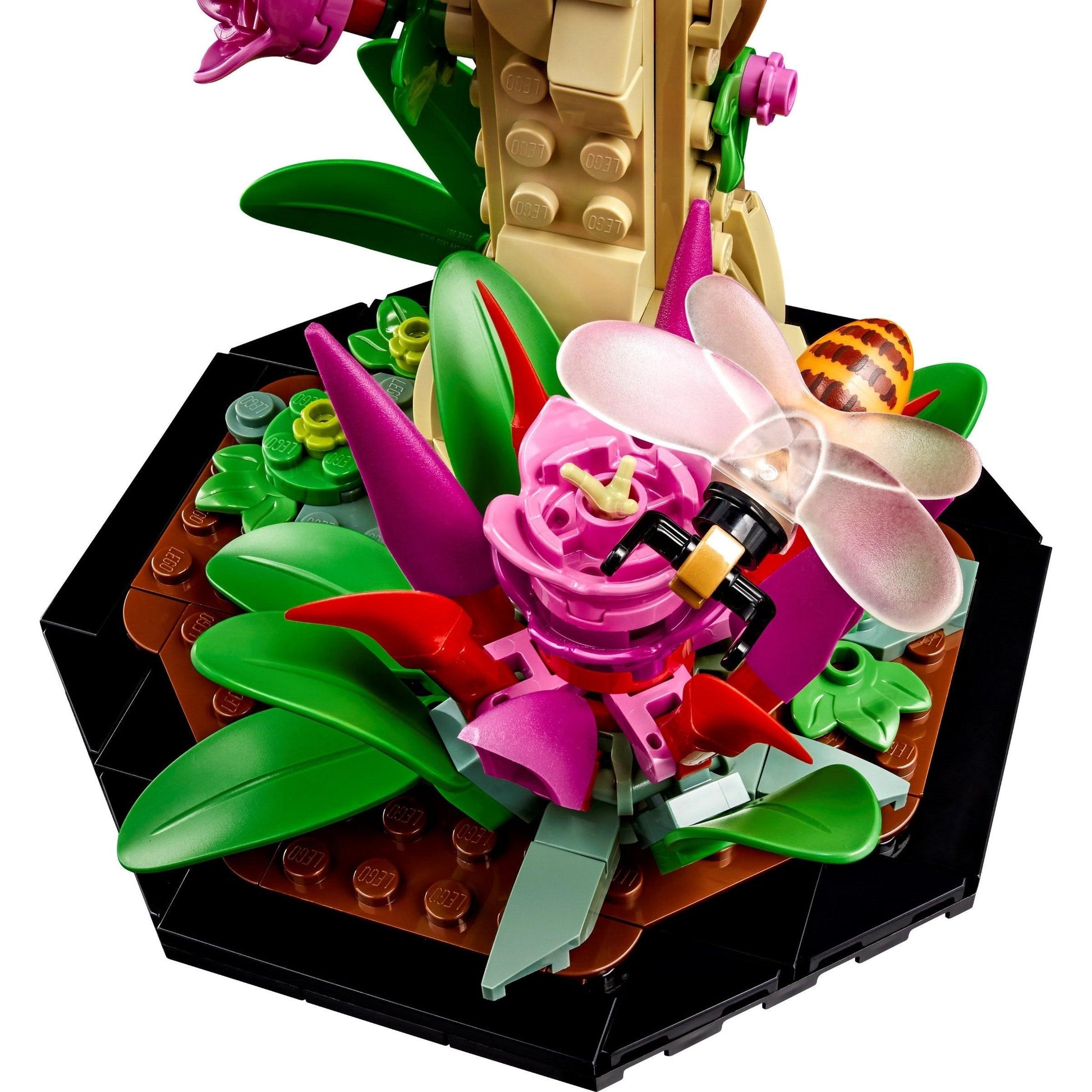 La collection Insectes | Idées | 21342