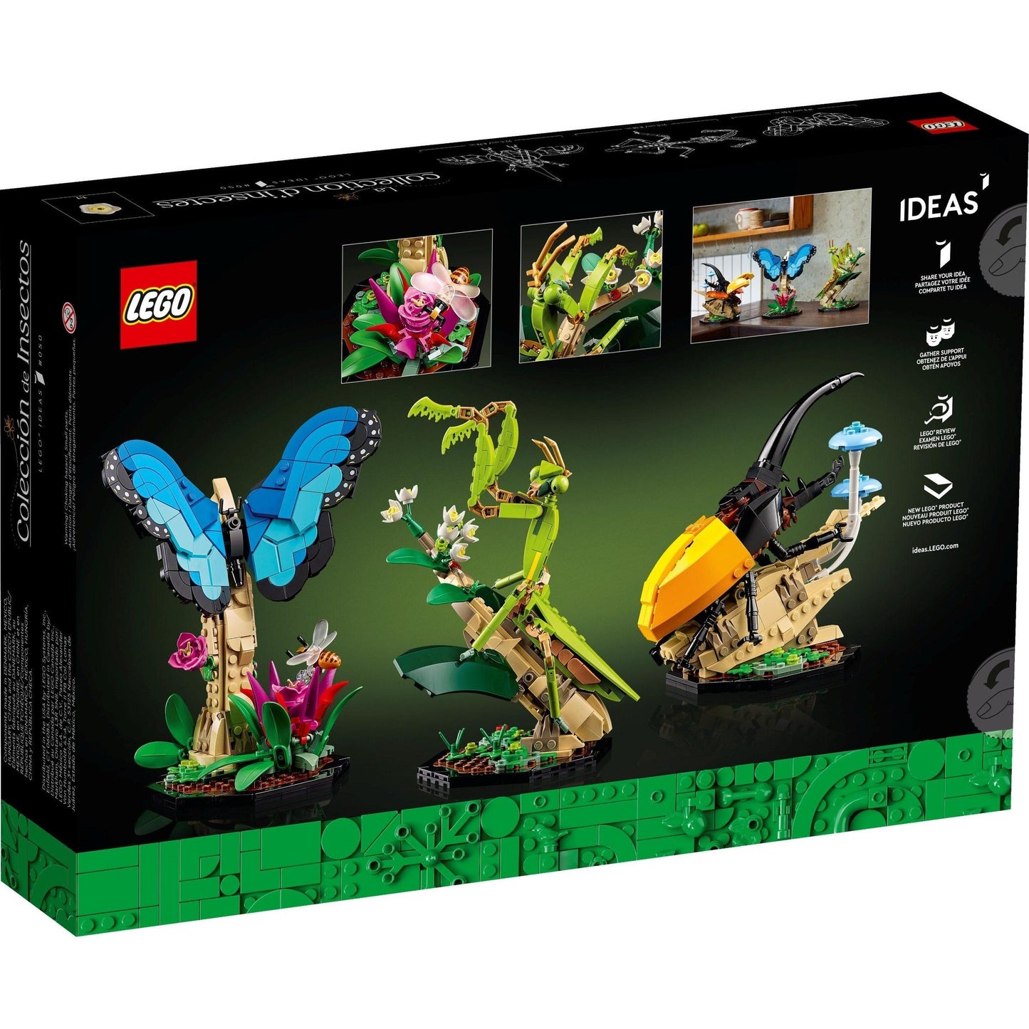 The Insect Collection | Ideas | 21342
