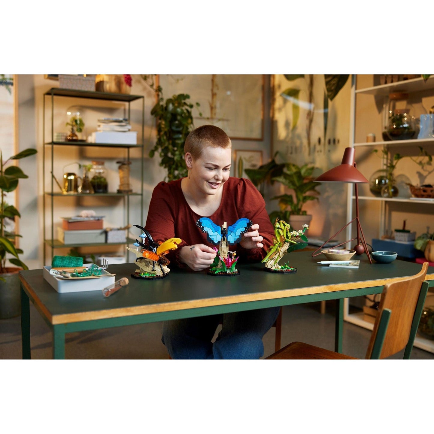 The Insect Collection | Ideas | 21342