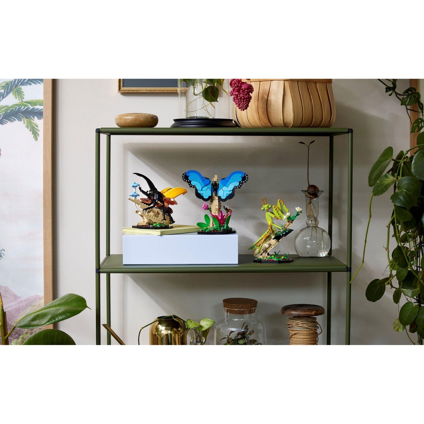 The Insect Collection | Ideas | 21342