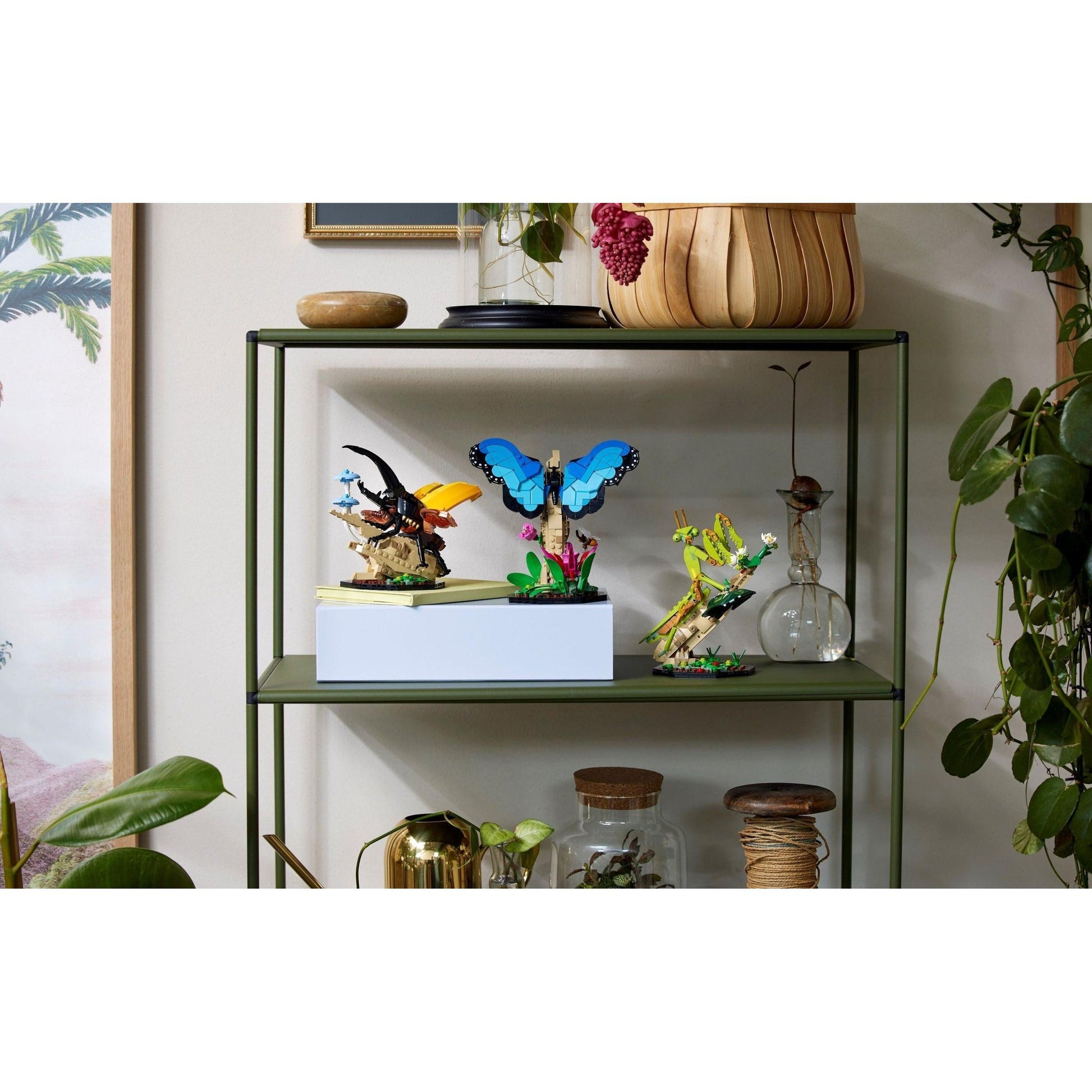 La collection Insectes | Idées | 21342