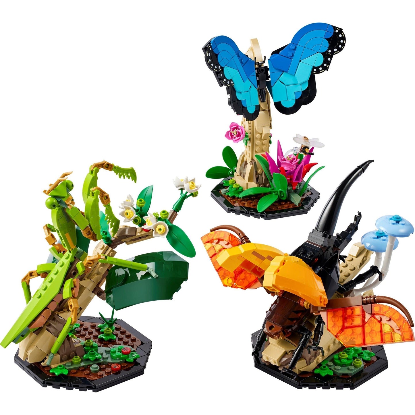 The Insect Collection | Ideas | 21342