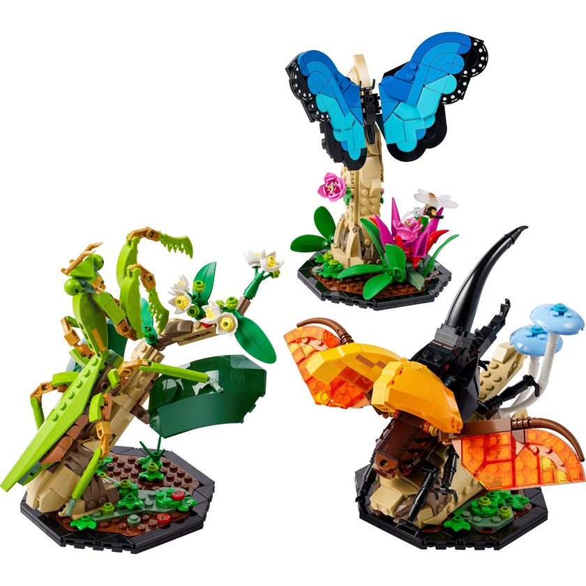 La collection Insectes | Idées | 21342
