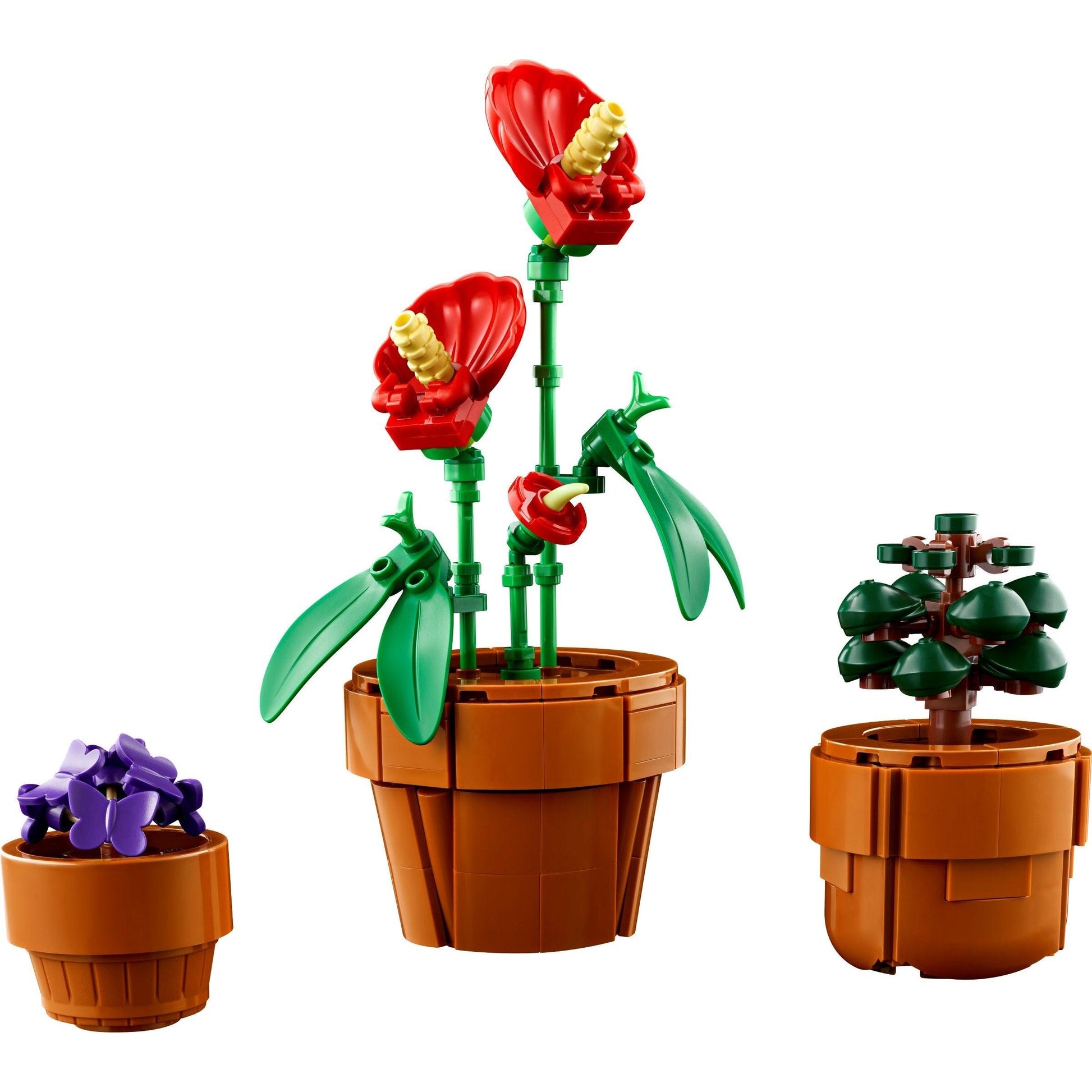 Petites plantes | Icônes | 10329