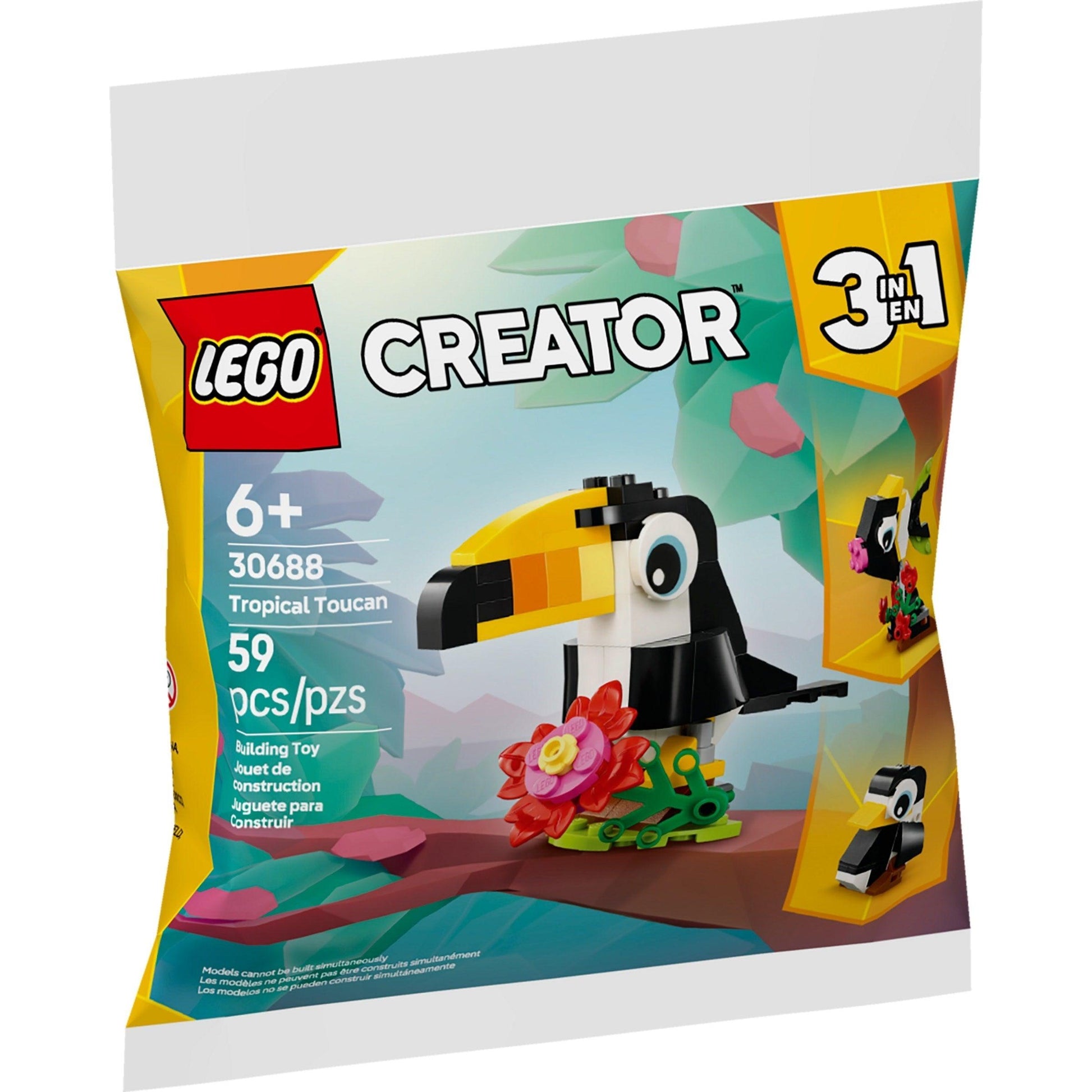 Toucan tropical | Créateur | 30688
