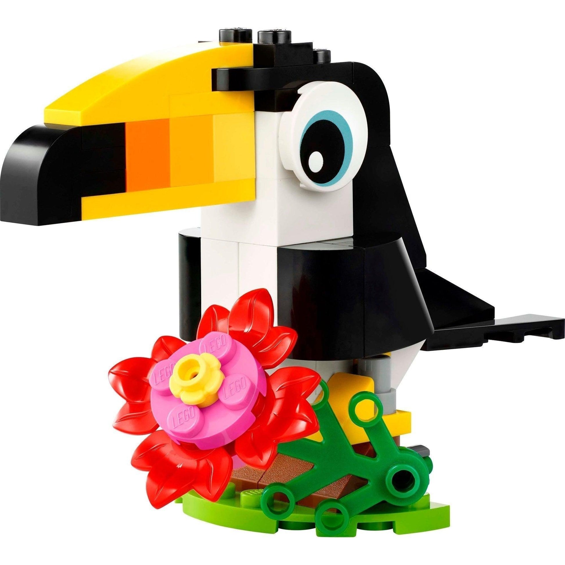 Toucan tropical | Créateur | 30688
