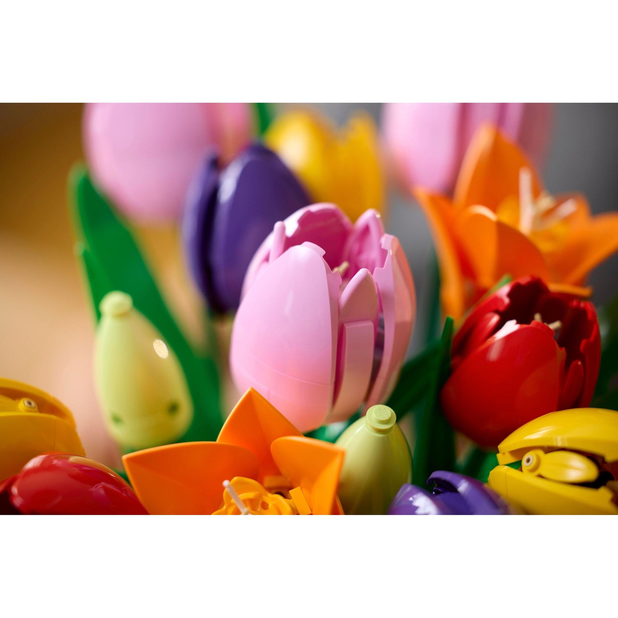 Tulip Bouquet | Botanicals | 11501