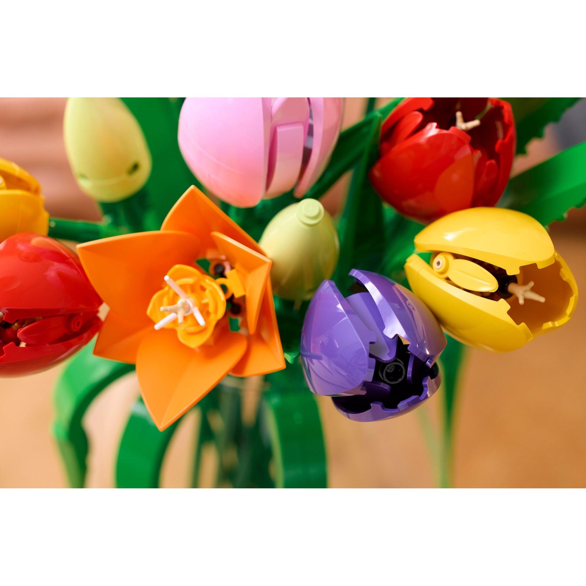 Bouquet de tulipes | Plantes | 11501
