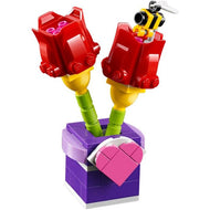 Tulipes | Amis | 30408