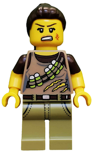 Dino Tracker, Series 12