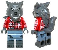 Wolf Guy, Series 14