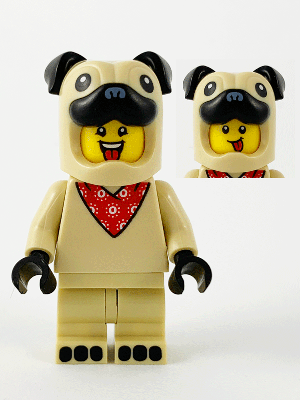 Pug Costume Guy, Series 21 | col378