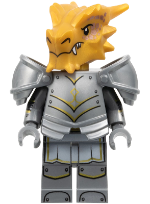 Dragonborn Paladin, Dungeons & Dragons | coldnd04