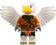 Aarakocra Ranger, Dungeons & Dragons