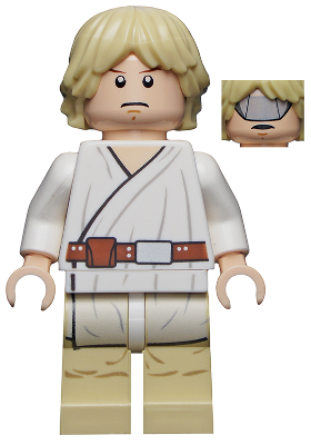 Luke Skywalker (Tatooine, Gray Visor on Reverse of Head) | sw0335