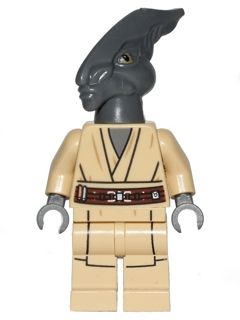 Coleman Trebor | sw0480