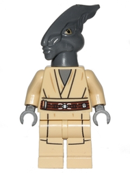 Coleman Trebor | sw0480