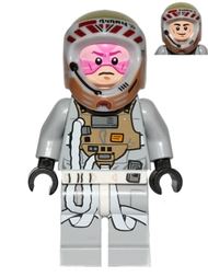 Gray Squadron Pilot (Horton Salm) | sw0558